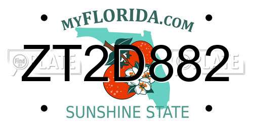 ZT2D882 Florida License Plate