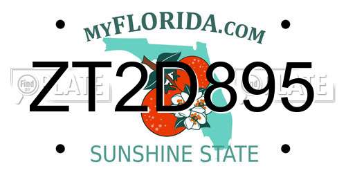 ZT2D895 Florida License Plate