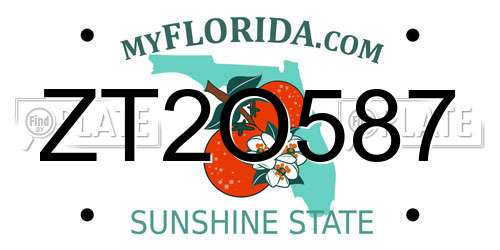 ZT2O587 Florida License Plate