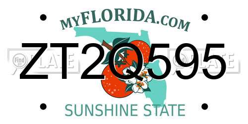 ZT2Q595 Florida License Plate