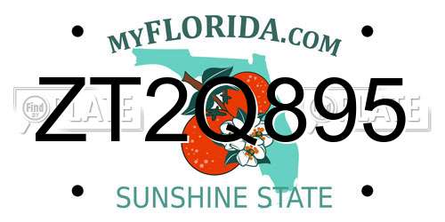 ZT2Q895 Florida License Plate