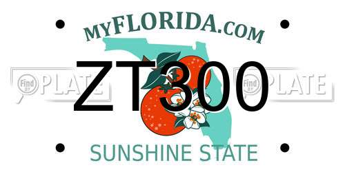 ZT300 Florida License Plate