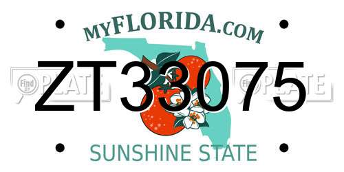 ZT33075 Florida License Plate