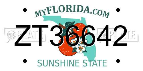 ZT36642 Florida License Plate