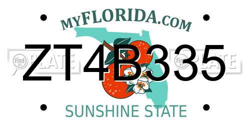 ZT4B335 Florida License Plate