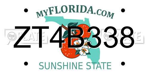 ZT4B338 Florida License Plate