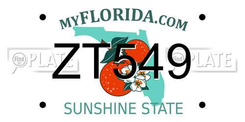 ZT549 Florida License Plate