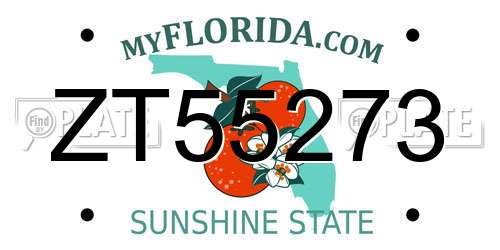 ZT55273 Florida License Plate