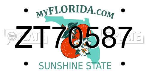 ZT70587 Florida License Plate