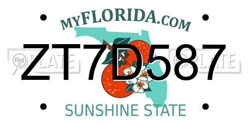 ZT7D587 Florida License Plate