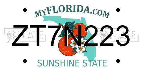 ZT7N223 Florida License Plate
