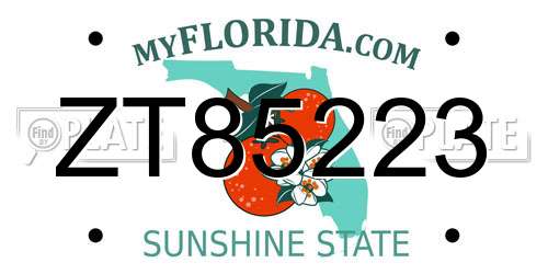 ZT85223 Florida License Plate