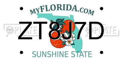 ZT8J7D Florida License Plate