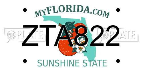 ZTA822 Florida License Plate