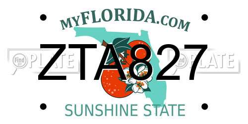 ZTA827 Florida License Plate
