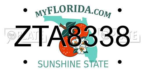 ZTA8338 Florida License Plate