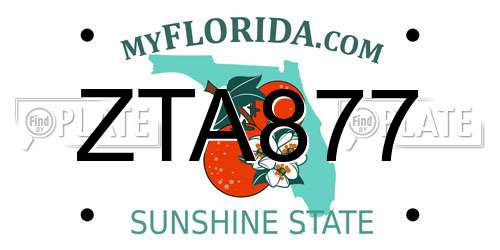 ZTA877 Florida License Plate