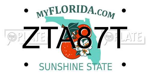 ZTA87T Florida License Plate