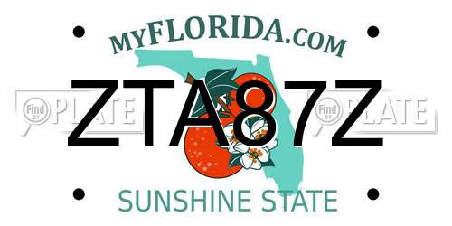 ZTA87Z Florida License Plate