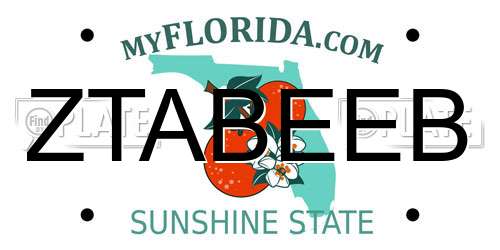 ZTABEEB Florida License Plate