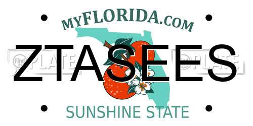 ZTASEES Florida License Plate