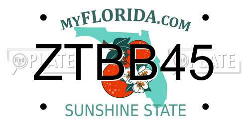 ZTBB45 Florida License Plate