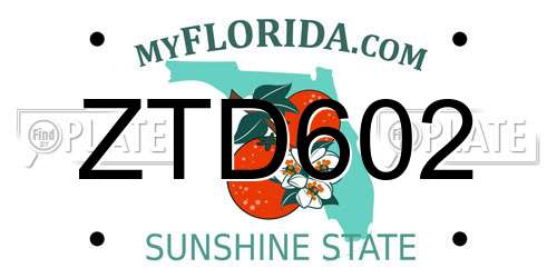 ZTD602 Florida License Plate