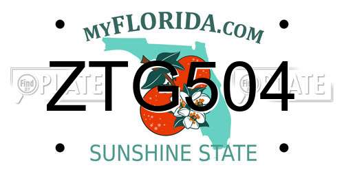 ZTG504 Florida License Plate