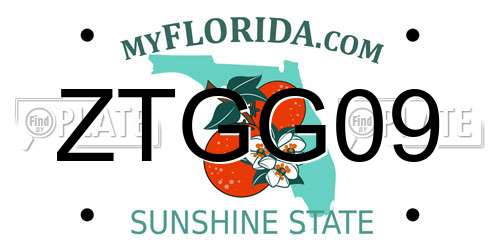 ZTGG09 Florida License Plate