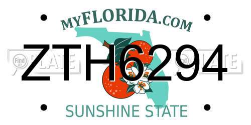 ZTH6294 Florida License Plate