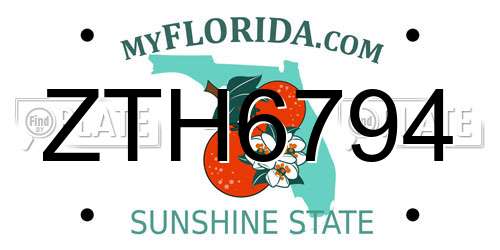 ZTH6794 Florida License Plate