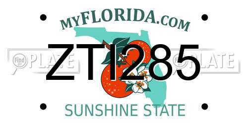 ZTI285 Florida License Plate