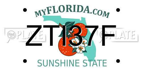 ZTI37F Florida License Plate