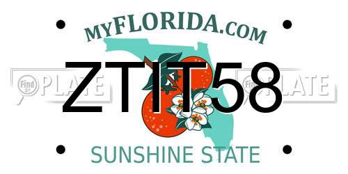 ZTIT58 Florida License Plate