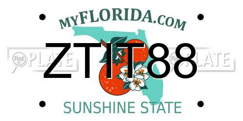 ZTIT88 Florida License Plate