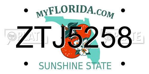 ZTJ5258 Florida License Plate