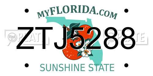 ZTJ5288 Florida License Plate