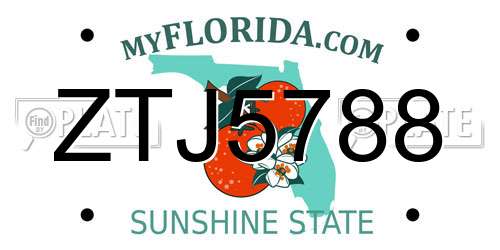 ZTJ5788 Florida License Plate