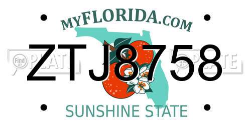 ZTJ8758 Florida License Plate