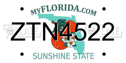 ZTN4522 Florida License Plate