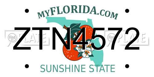 ZTN4572 Florida License Plate