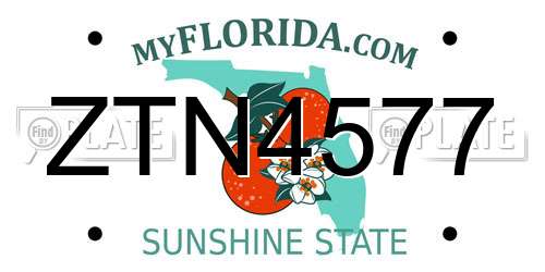 ZTN4577 Florida License Plate