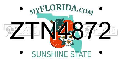 ZTN4872 Florida License Plate