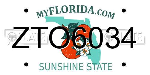 ZTO6034 Florida License Plate