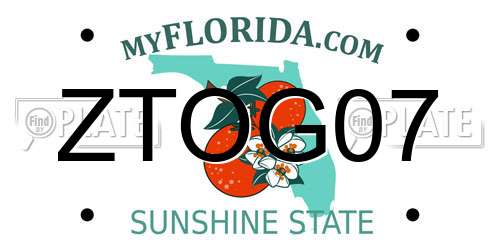 ZTOG07 Florida License Plate