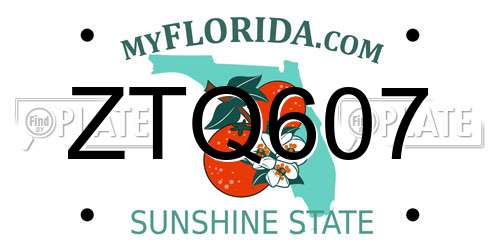 ZTQ607 Florida License Plate