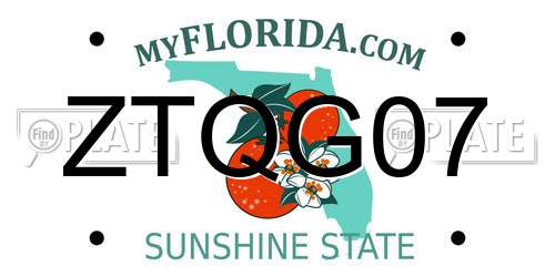 ZTQG07 Florida License Plate