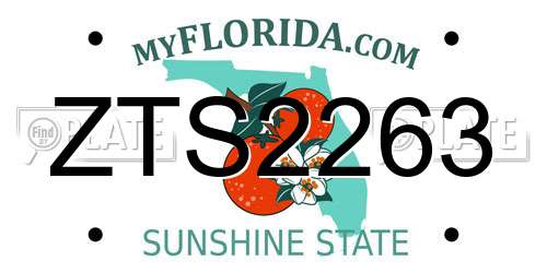ZTS2263 Florida License Plate