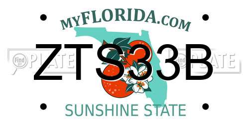 ZTS33B Florida License Plate