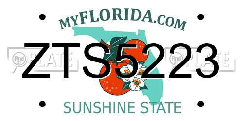 ZTS5223 Florida License Plate